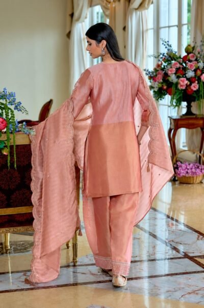 SCF0168-02 Kanjeevaram Tissue Zardozi Farshi Salwar Set