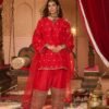 Red Georgette Zari Booti Salwar Set