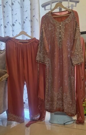 SCF0252-01 Heavy Handwork Georgette Farshi Salwar Set