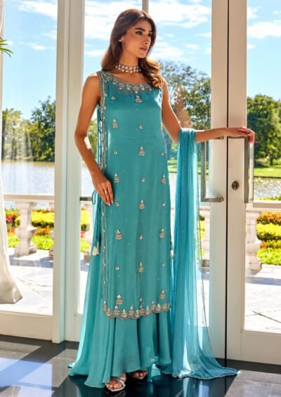 SCF0273-01 Noor-e-Aqua Handwork Organza Palazzo Set