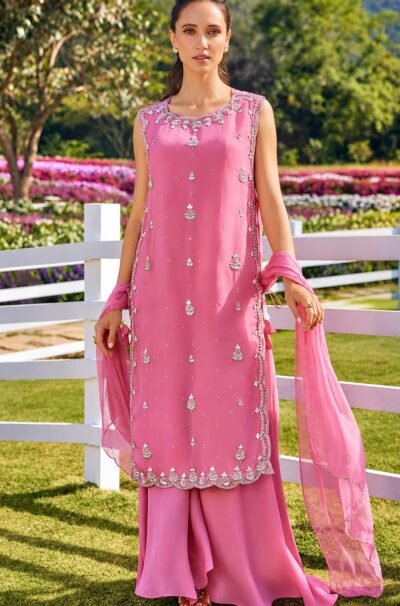 SCF0273-03 Noor-e-Aqua Handwork Organza Palazzo Set