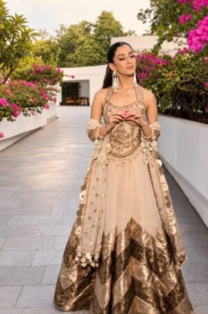 SCF0278-01 Embroidered Tissue Occasionwear Ensemble