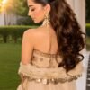 Embroidered Tissue Occasionwear Ensemble